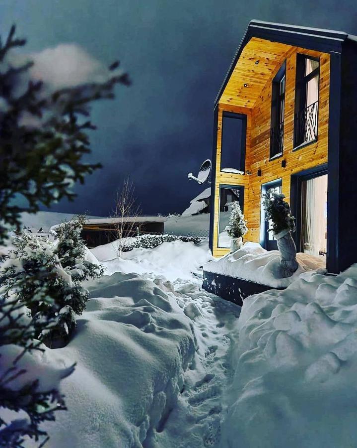 Vista Durmitor - Luxury Cabin Žabljak Exterior foto